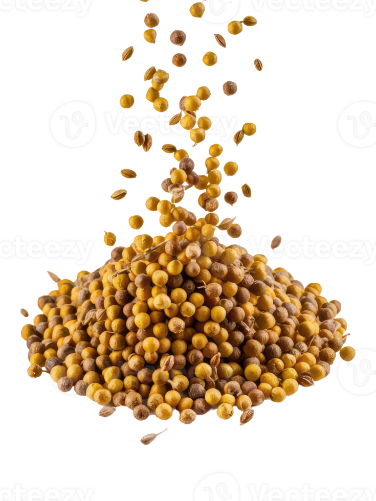 A Pile of Coriander Seeds png