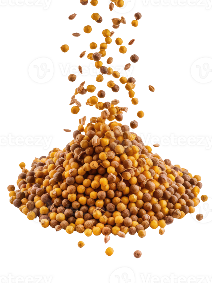 A Pile of Coriander Seeds png