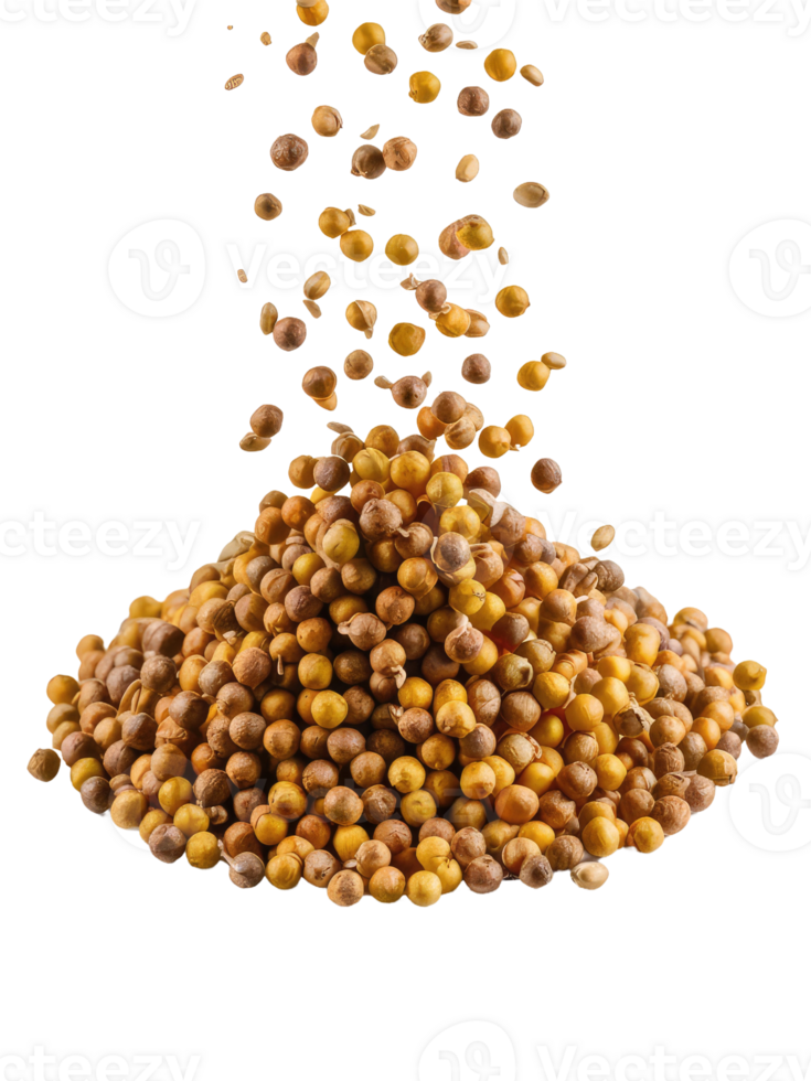 A Pile of Coriander Seeds png