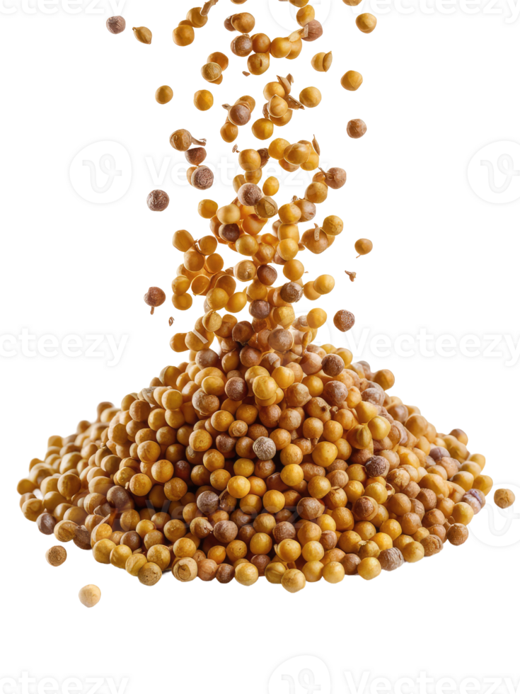 A Pile of Coriander Seeds png