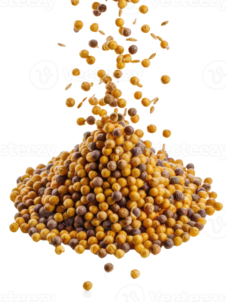A Pile of Coriander Seeds png