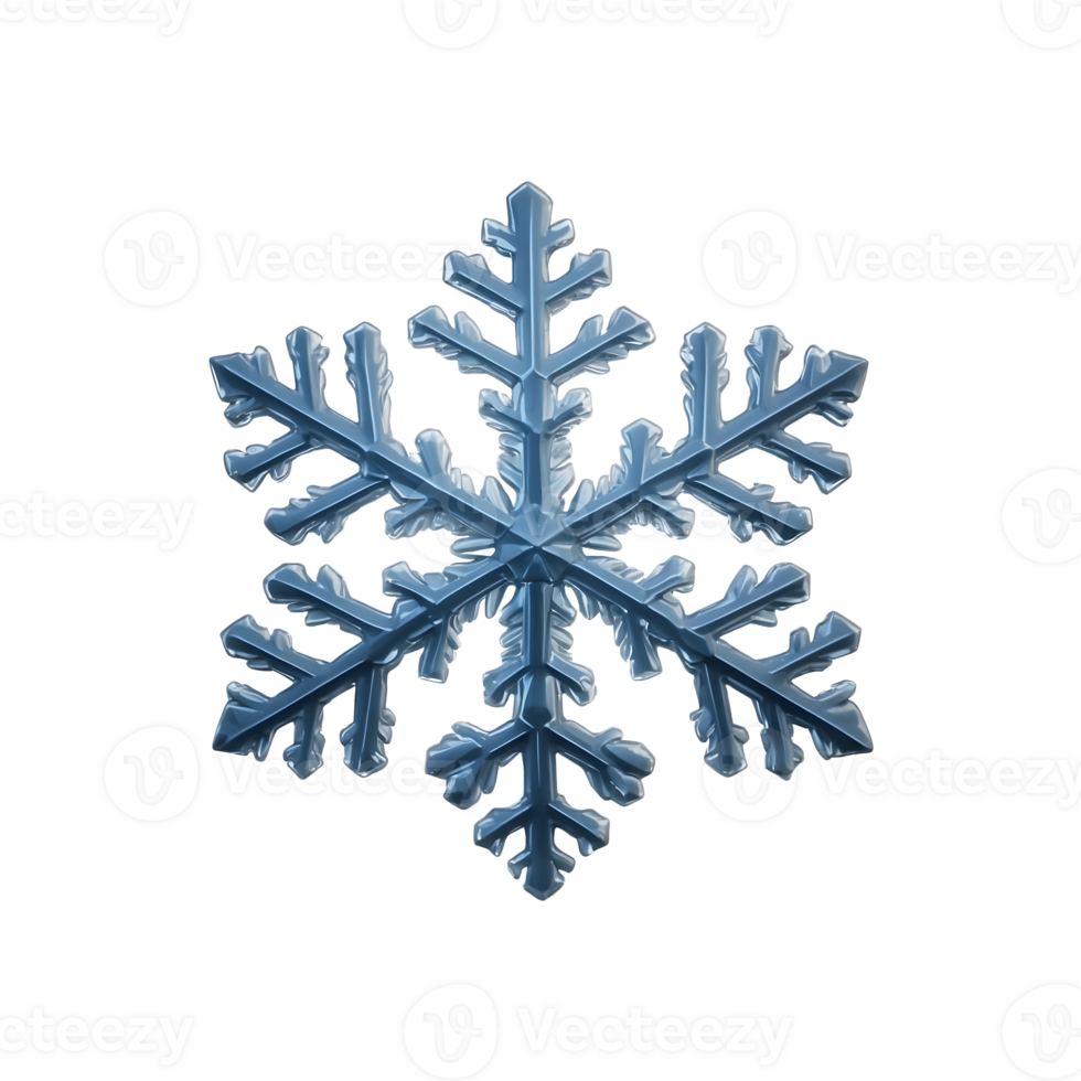 Winter Wonder Decorative Snowflakes Isolated on Transparent Background png