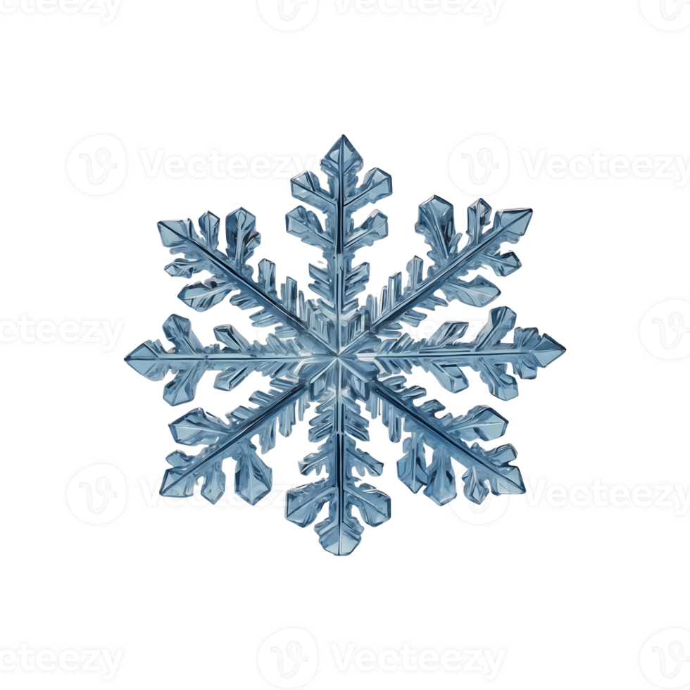 Winter Magic Decorative Snowflakes Isolated on Transparent Background png
