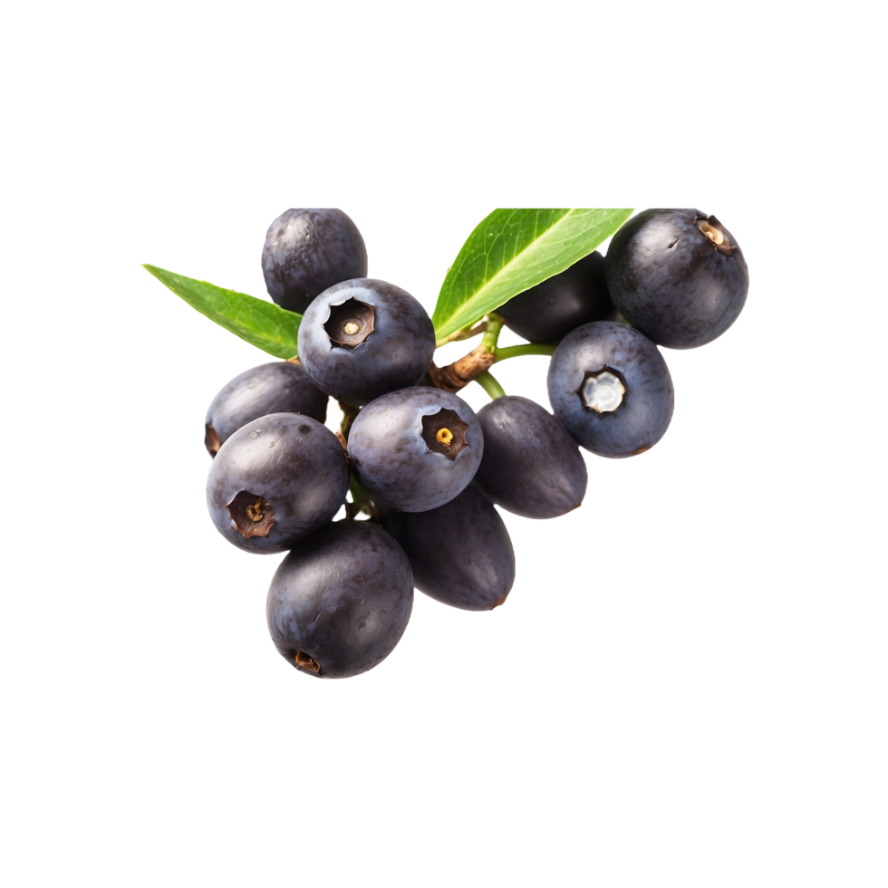 Pure Acai Goodness Bunch of Fresh Sweet Acai Berries Fruit Isolated on Transparent Background png