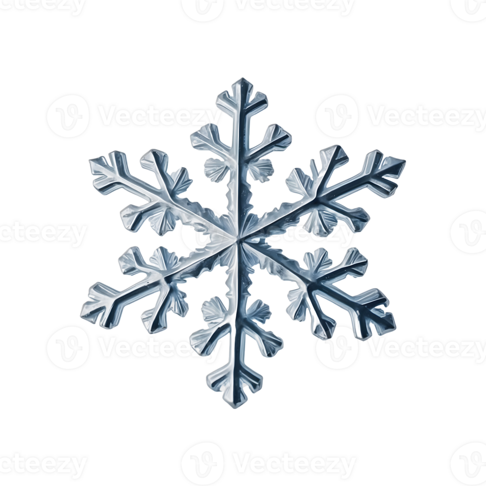 Snowy Splendor Decorative Snowflakes Isolated on Transparent Background png