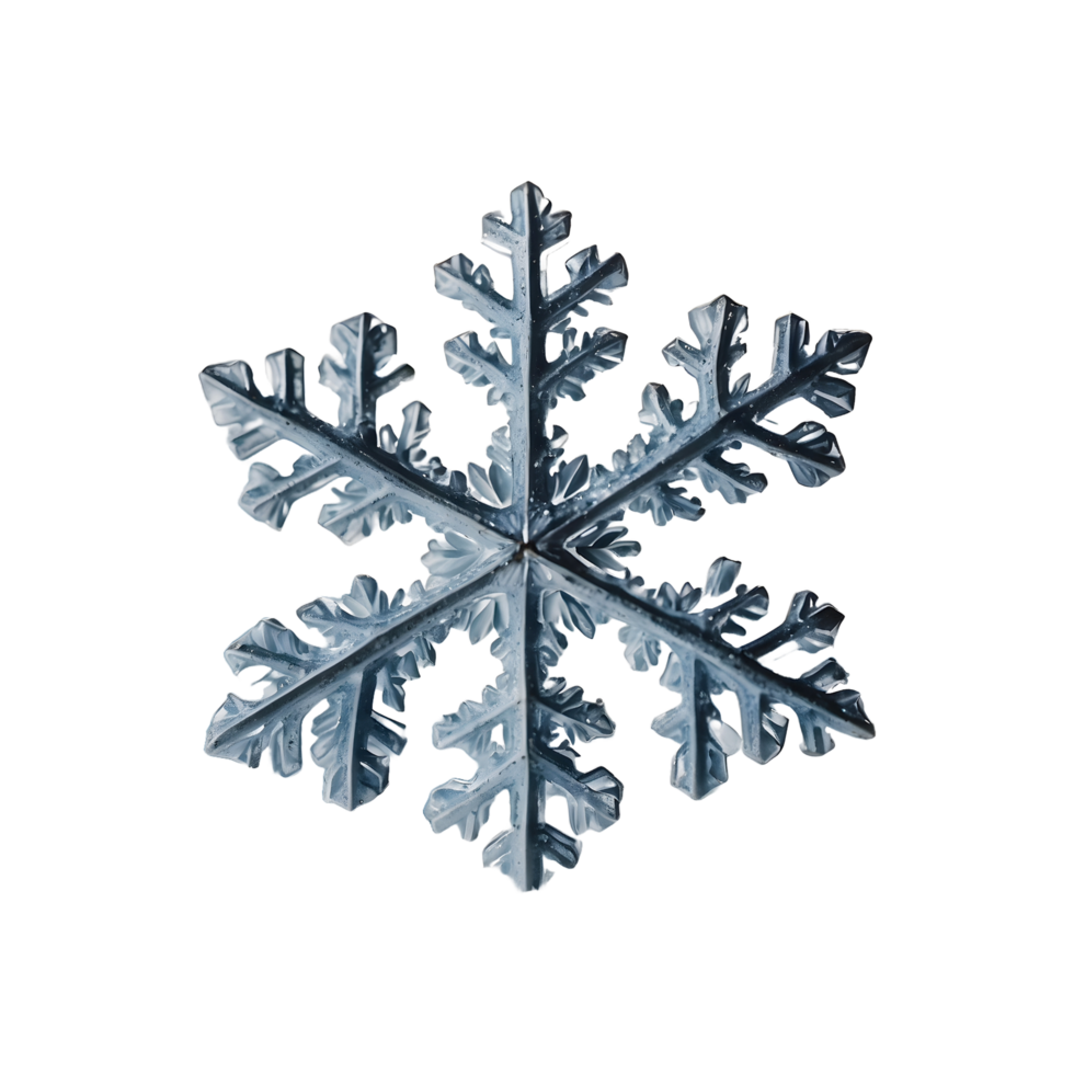 Snowflake Artistry Decorative Snowflakes Isolated on Transparent Background png