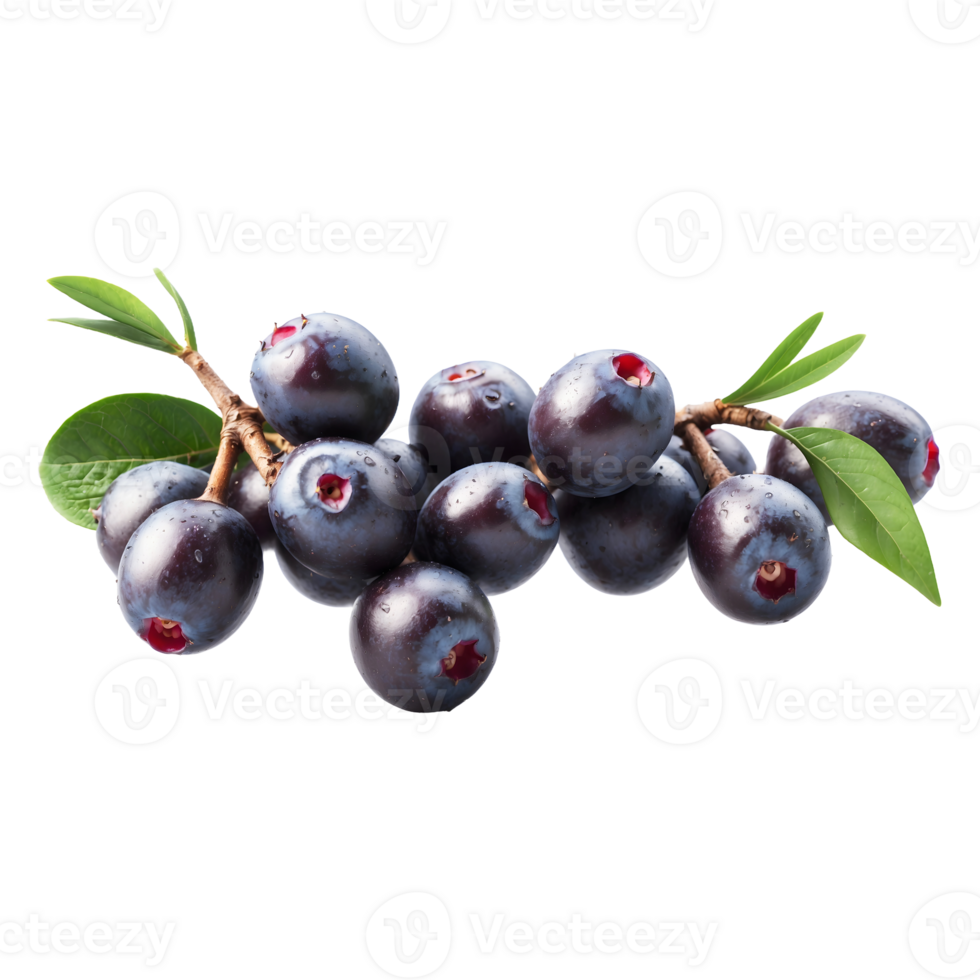 Superfood Delight Bunch of Fresh Sweet Acai Berries Fruit Isolated on Transparent Background png