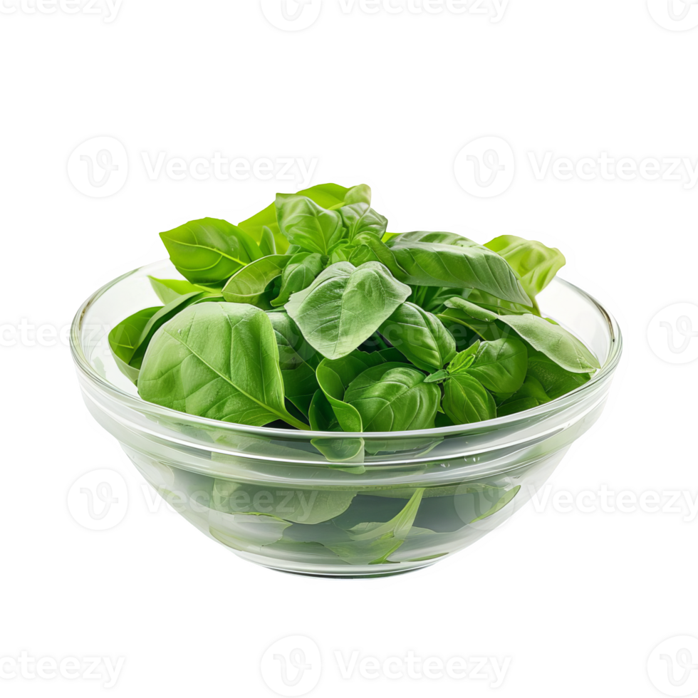 Basil leaves in a glass bowl transparent background png