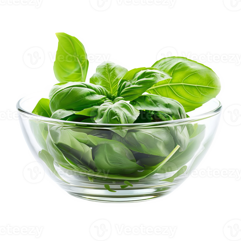 Basil leaves in a glass bowl transparent background png