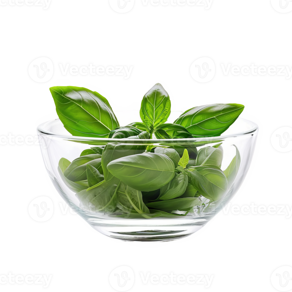 Basil leaves in a glass bowl transparent background png