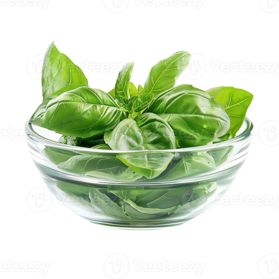 Basil leaves in a glass bowl transparent background png