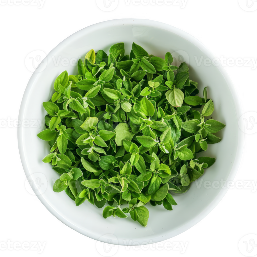 Marjoram in a white dish transparent background png