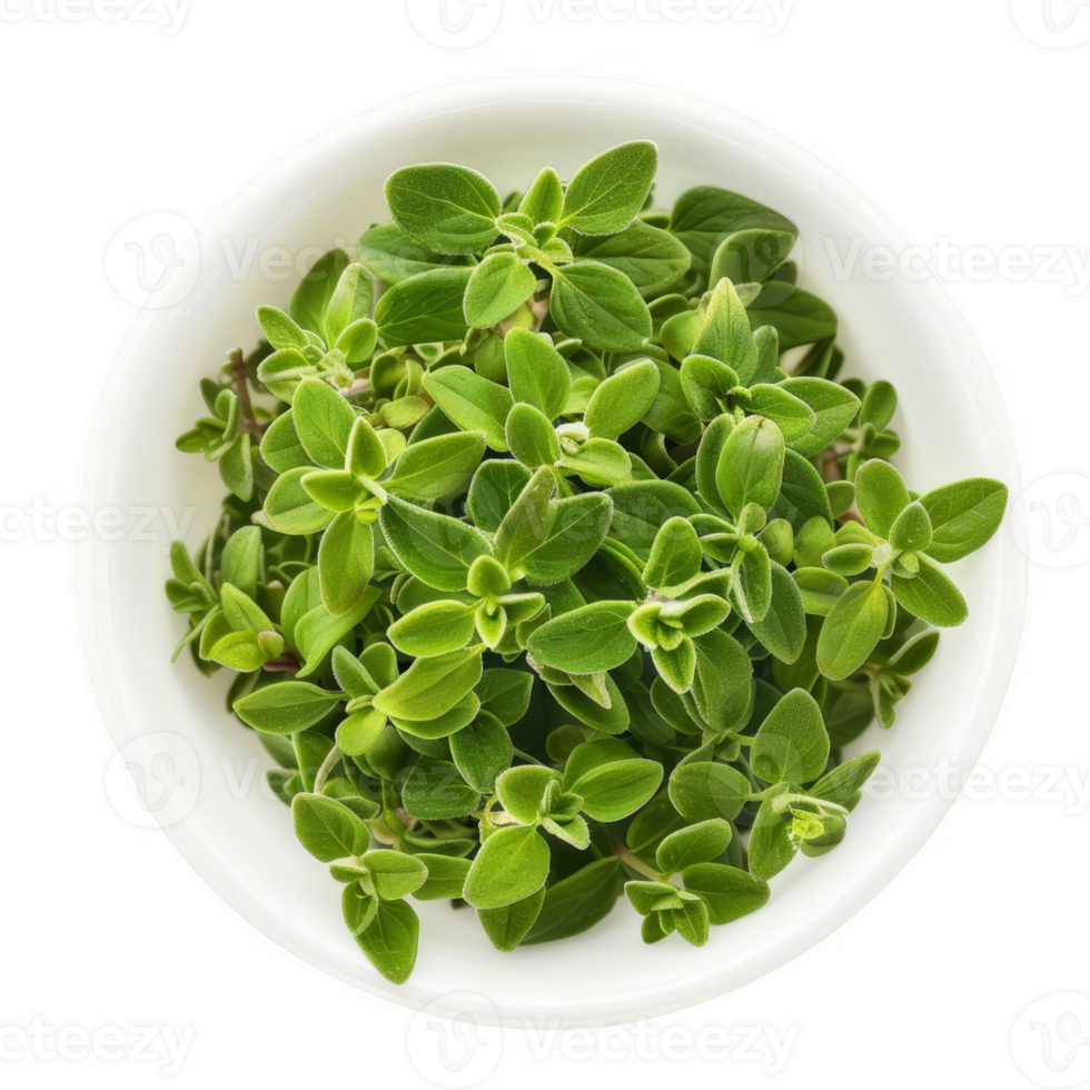 Marjoram in a white dish transparent background png