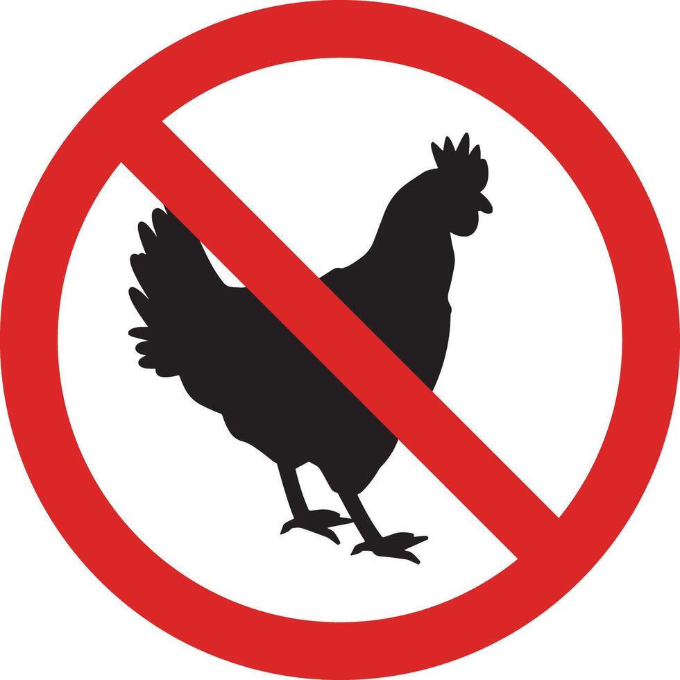 No chicken sign isolated on white background . No chicken allowed sign . illustration vector