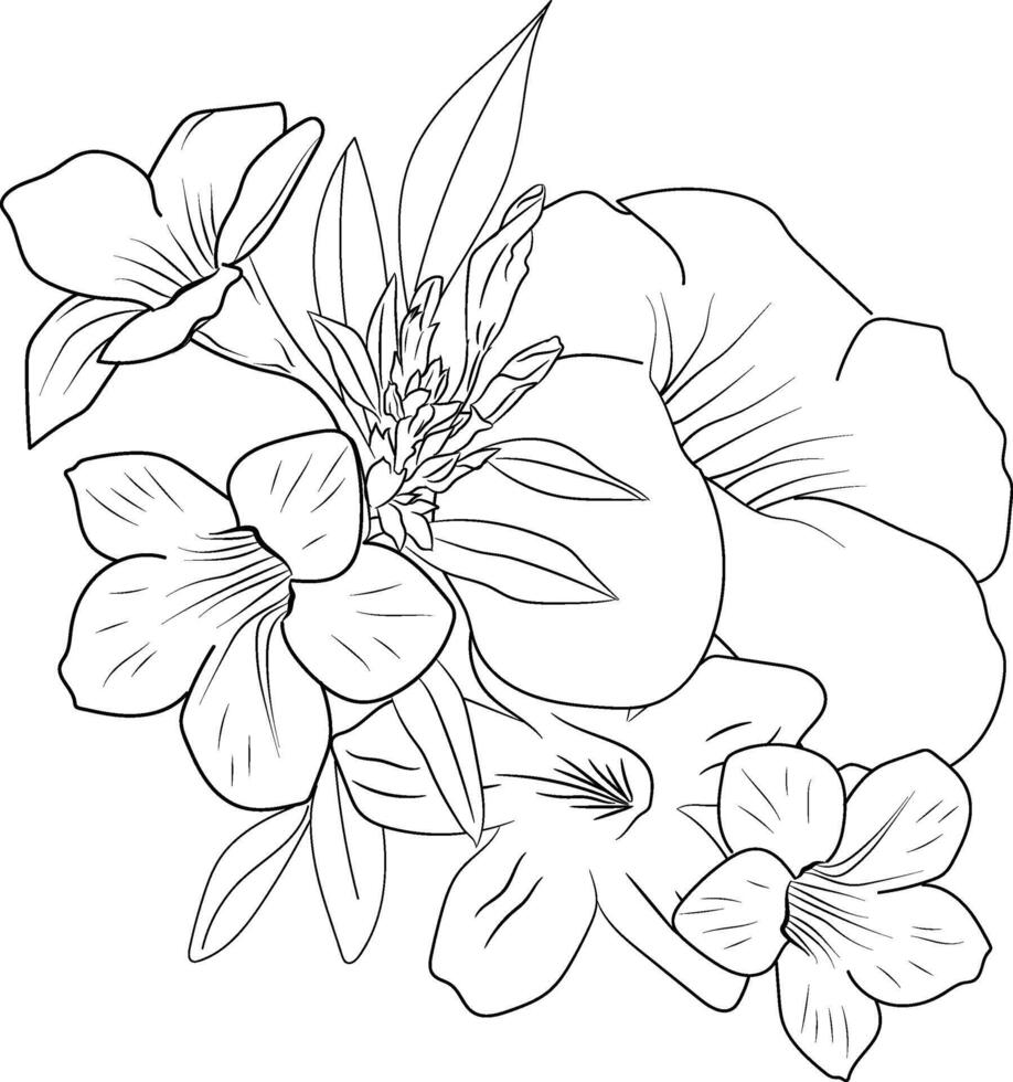 Allamanda cathartica coloring book hand drawn botanical spring elements bouquet of Allamanda cathartica flower line art, coloring page, sketch, artistic simplicity doodle art vector