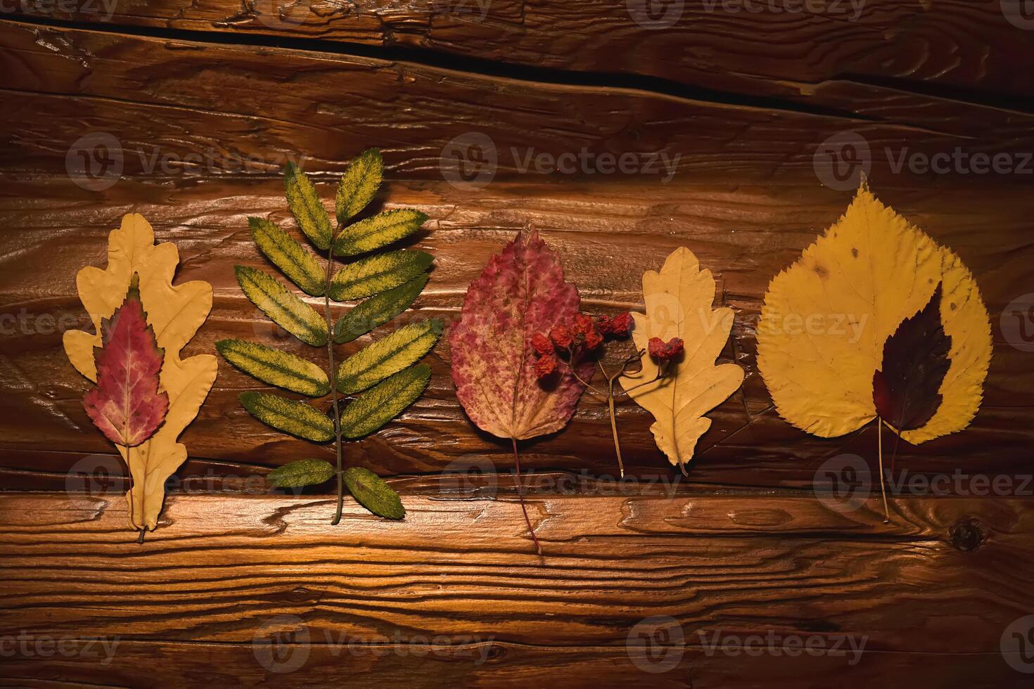 Cozy composition of bright autumn dry leaves on a wooden background. photo