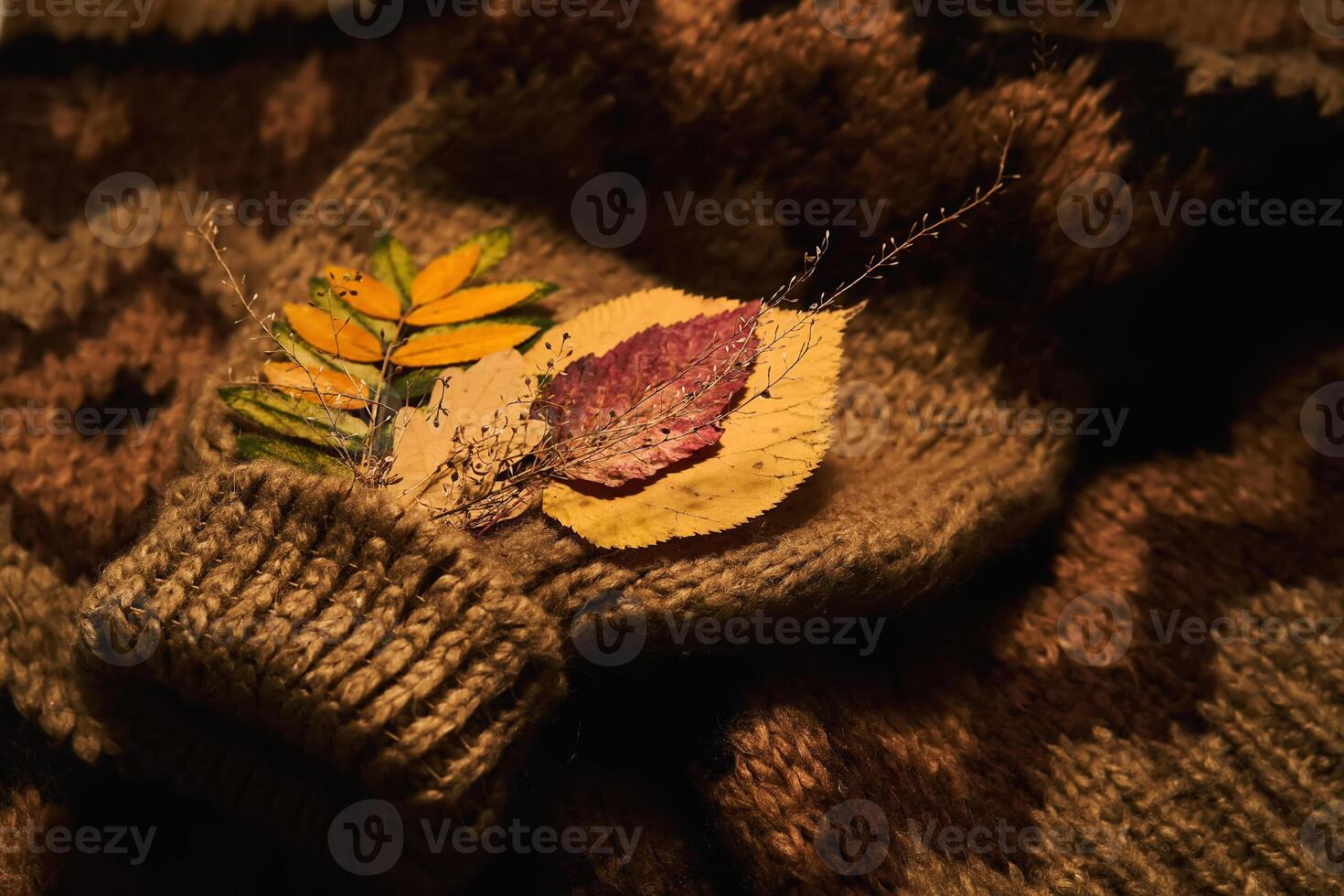 Cozy composition of autumn leaves and sweater. photo