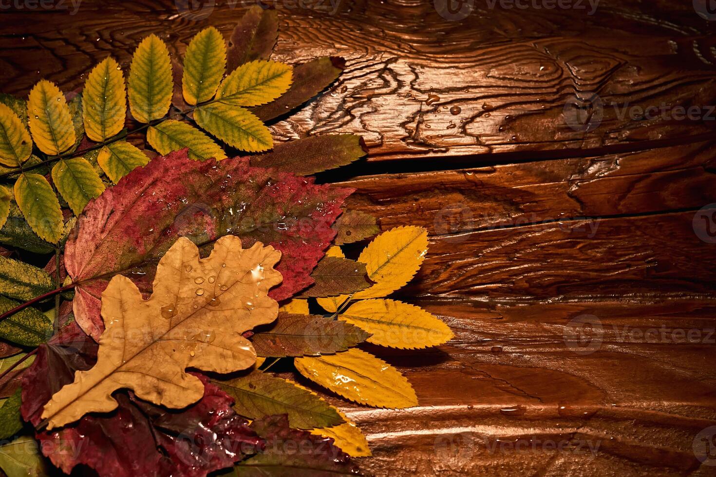 Cozy composition of bright autumn dry leaves on a wooden background. photo