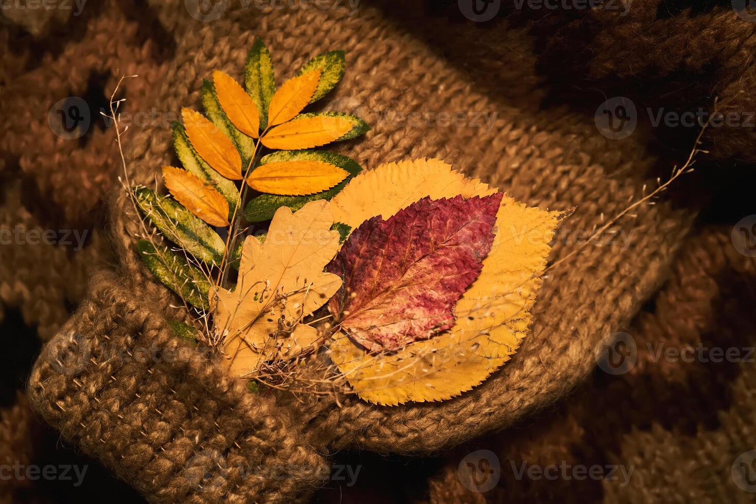 Cozy composition of autumn leaves and sweater. photo