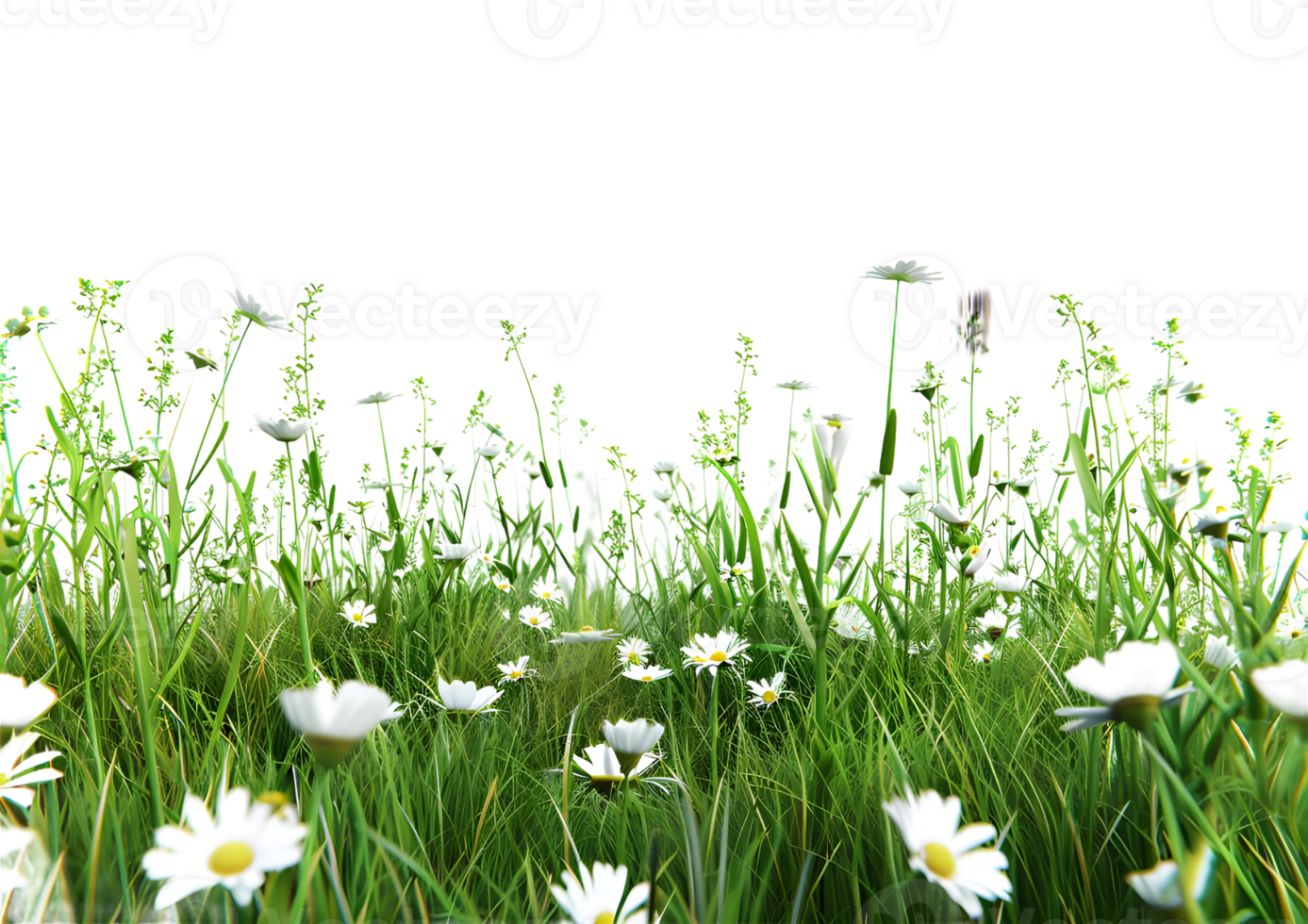 3D render of a vibrant flower field with diverse types of wildflowers Isolated on a transparent background png
