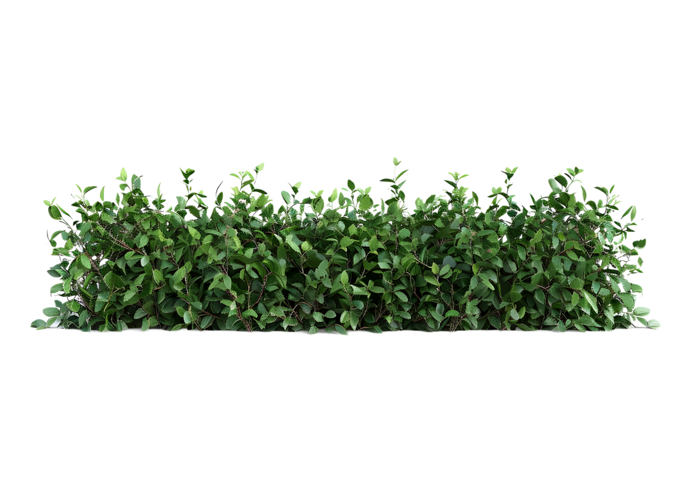 Patch of Green Grass for Lawn, Garden, and Outdoor Design Projects isolated on transparent background. png