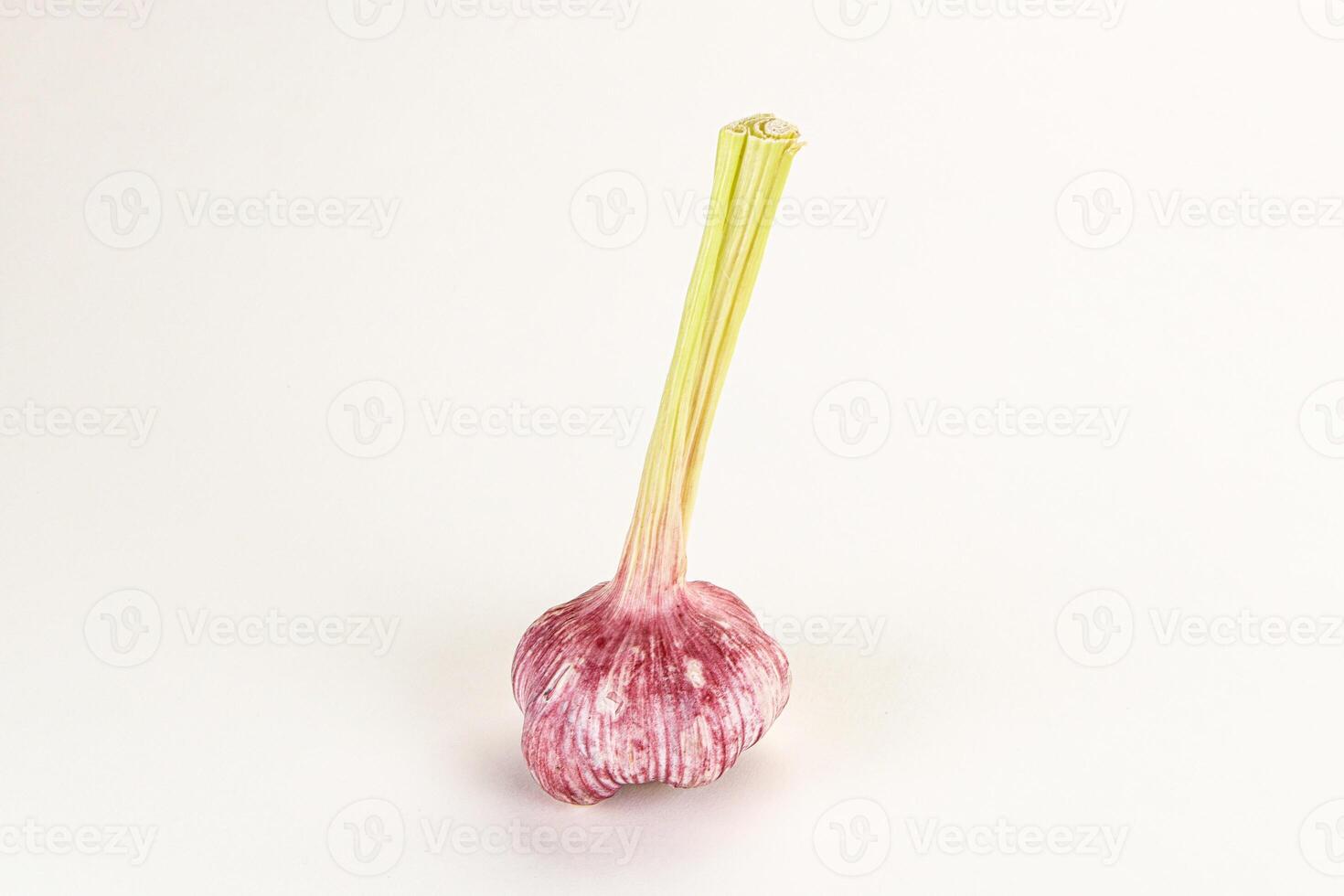 Young fresh garlic for cooking photo