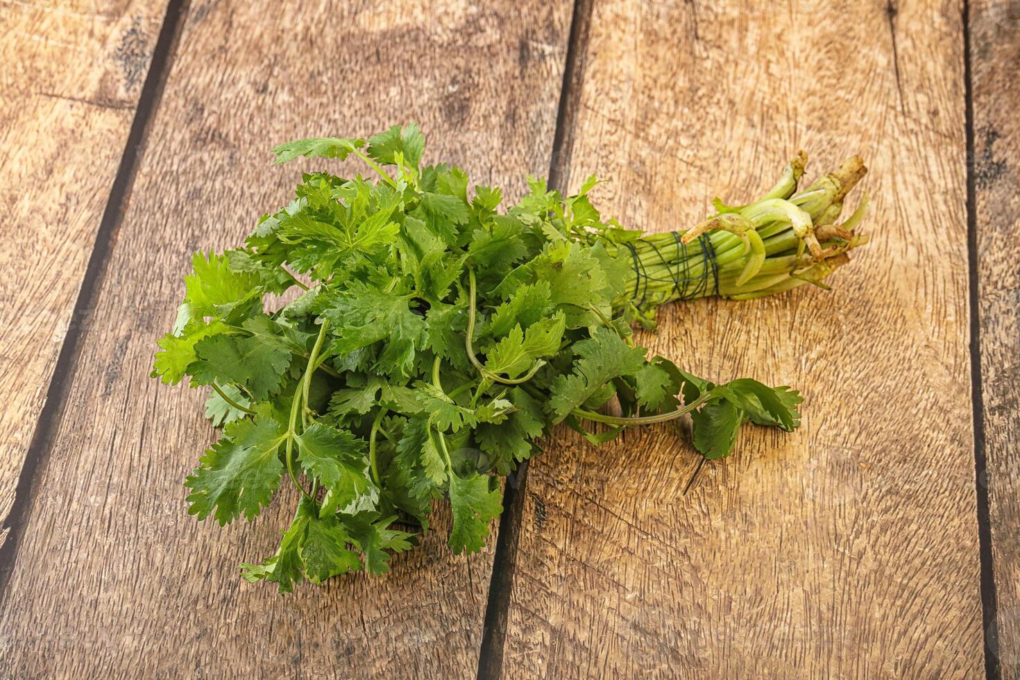 Green coriander leaves herb heap photo