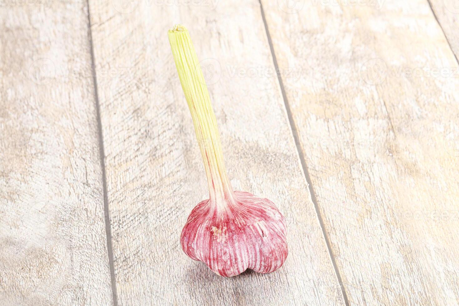 Young fresh garlic for cooking photo