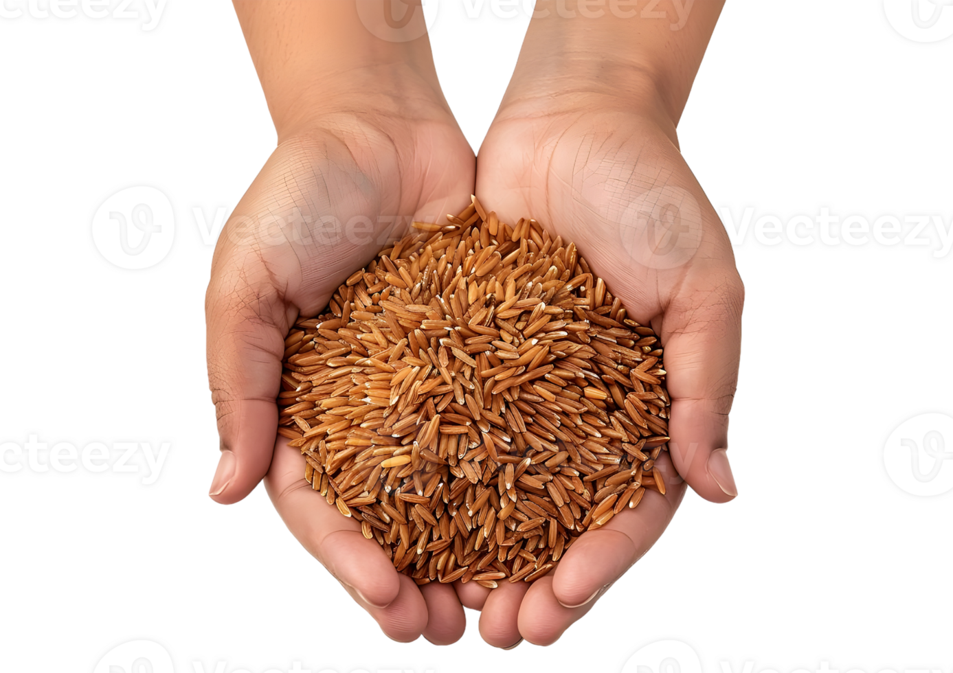 Hands holding a pile of spice blend Isolated on transparent background png