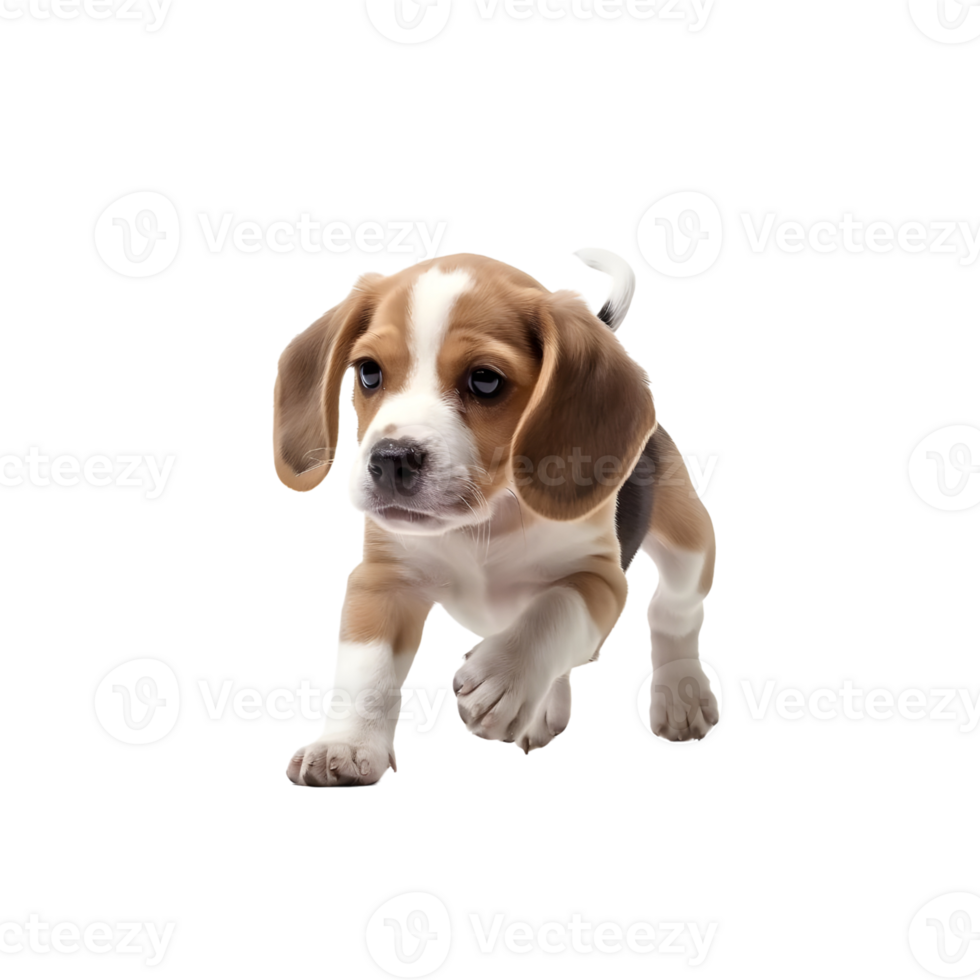 Joyful Pup Beautiful Puppy Frolicking in Playful Delight isolated on transparent background png