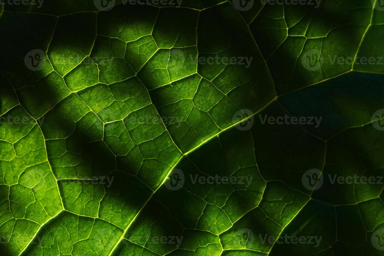 Calm and Symmetrical Leaf Pattern Background photo