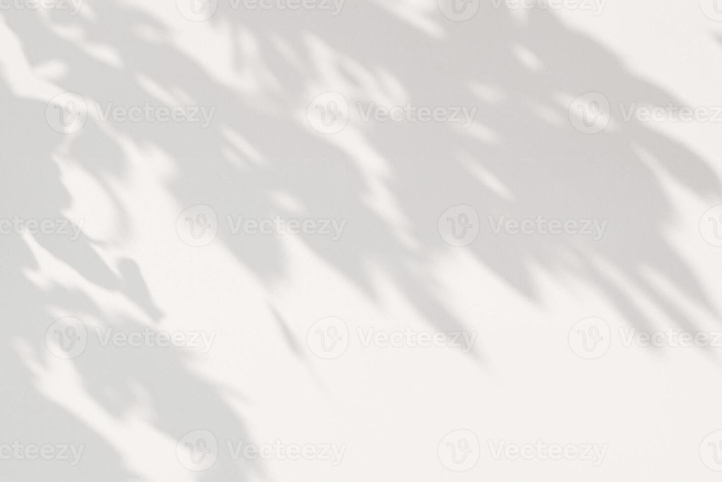 Minimalist Composition, Tree Leaves in Abstract on White Wall photo