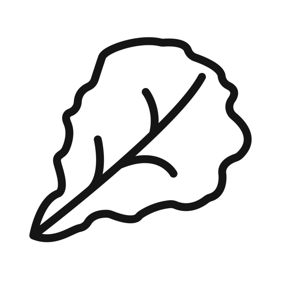 Lettuce Icon Pack Fresh Produce Illustrations for Nutrition and Cooking vector