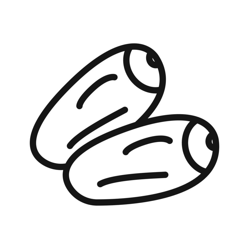 Arab date fruit icon vector