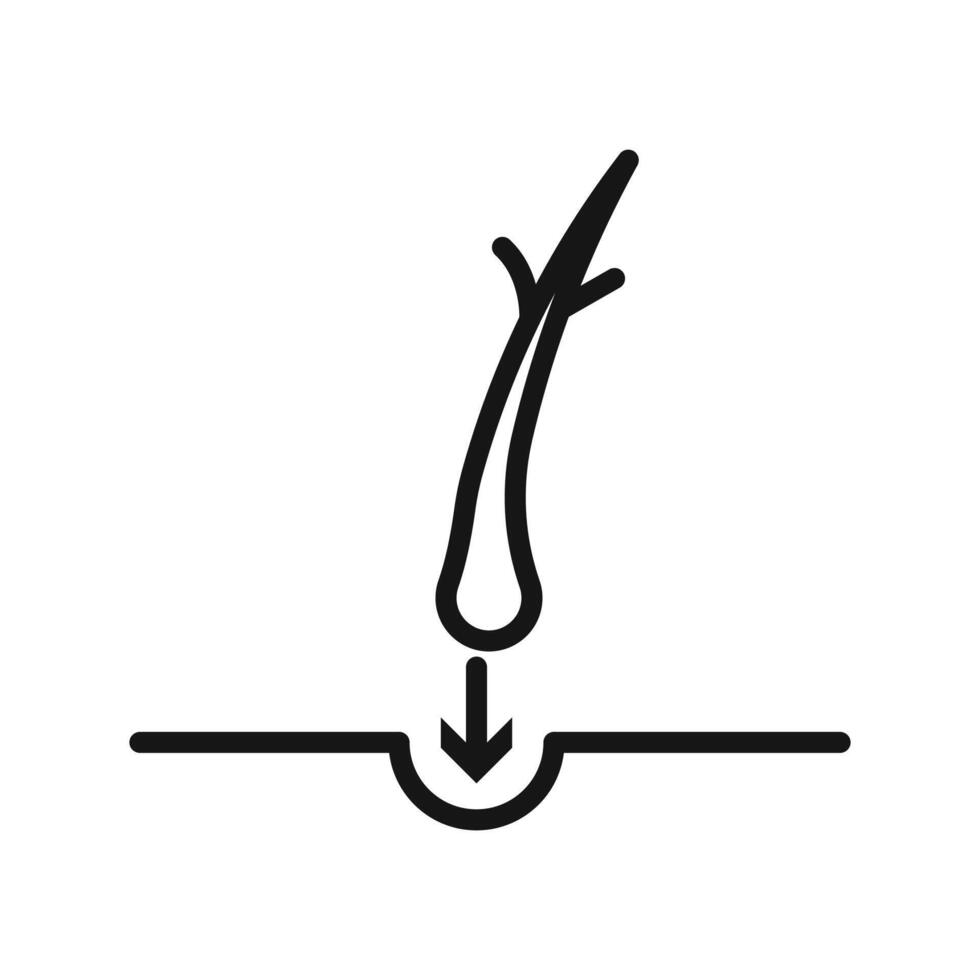 hair transplant icon vector