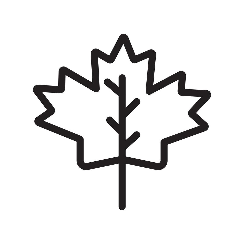 Maple leaf icon Black line art vector