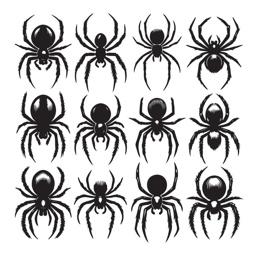 Spider silhouette black vector