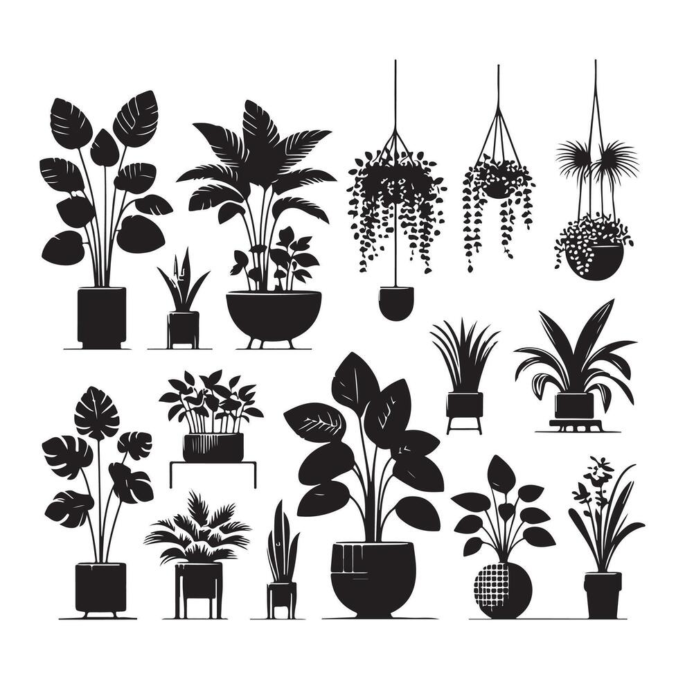 interior plant or indoor tree silhouettes vector