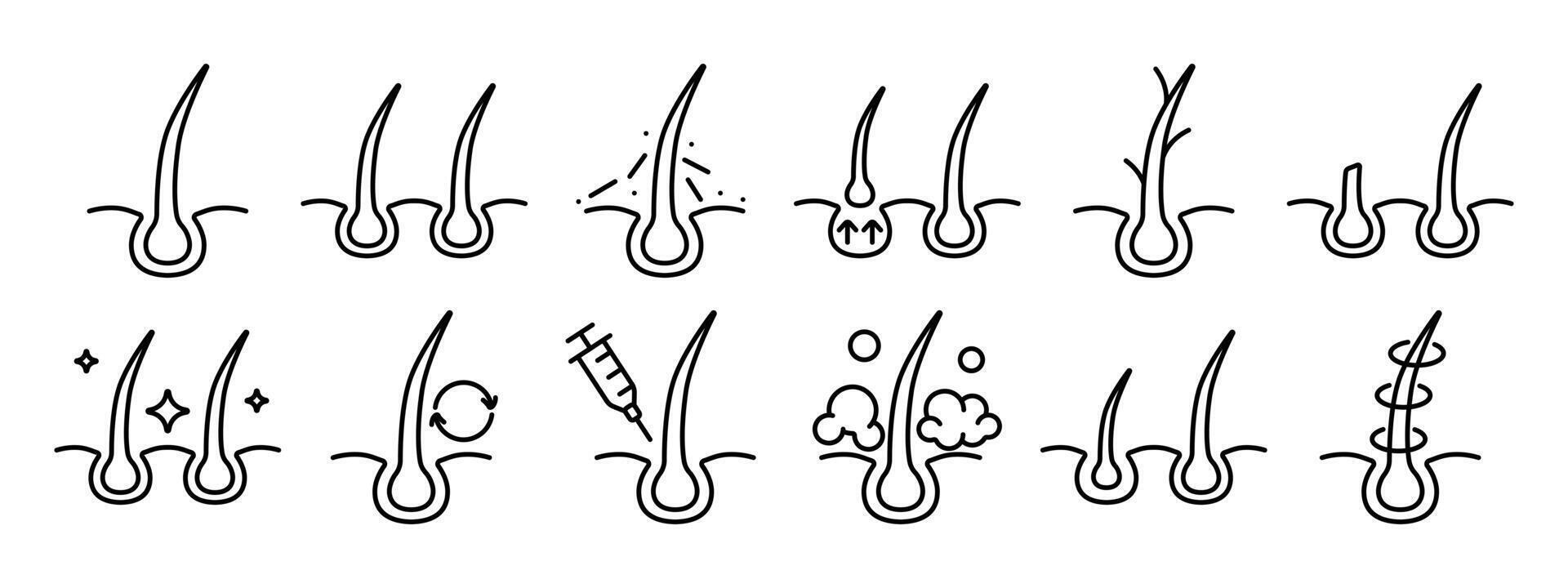 Hair growth set icon. Hair follicle stages, growth cycle, scalp care, injection, dermatology, treatment, hair loss prevention, hair health. vector
