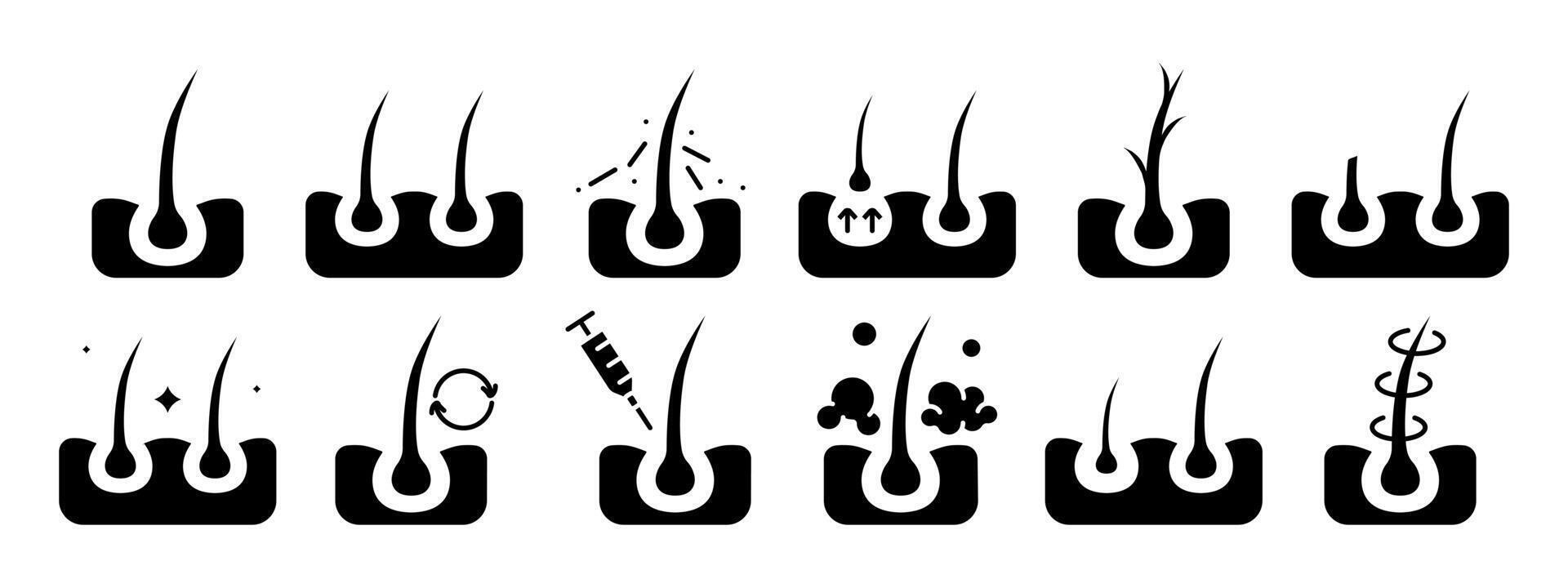 Hair growth set icon. Hair follicle stages, growth cycle, scalp care, injection, dermatology, treatment, hair loss prevention, hair health. vector