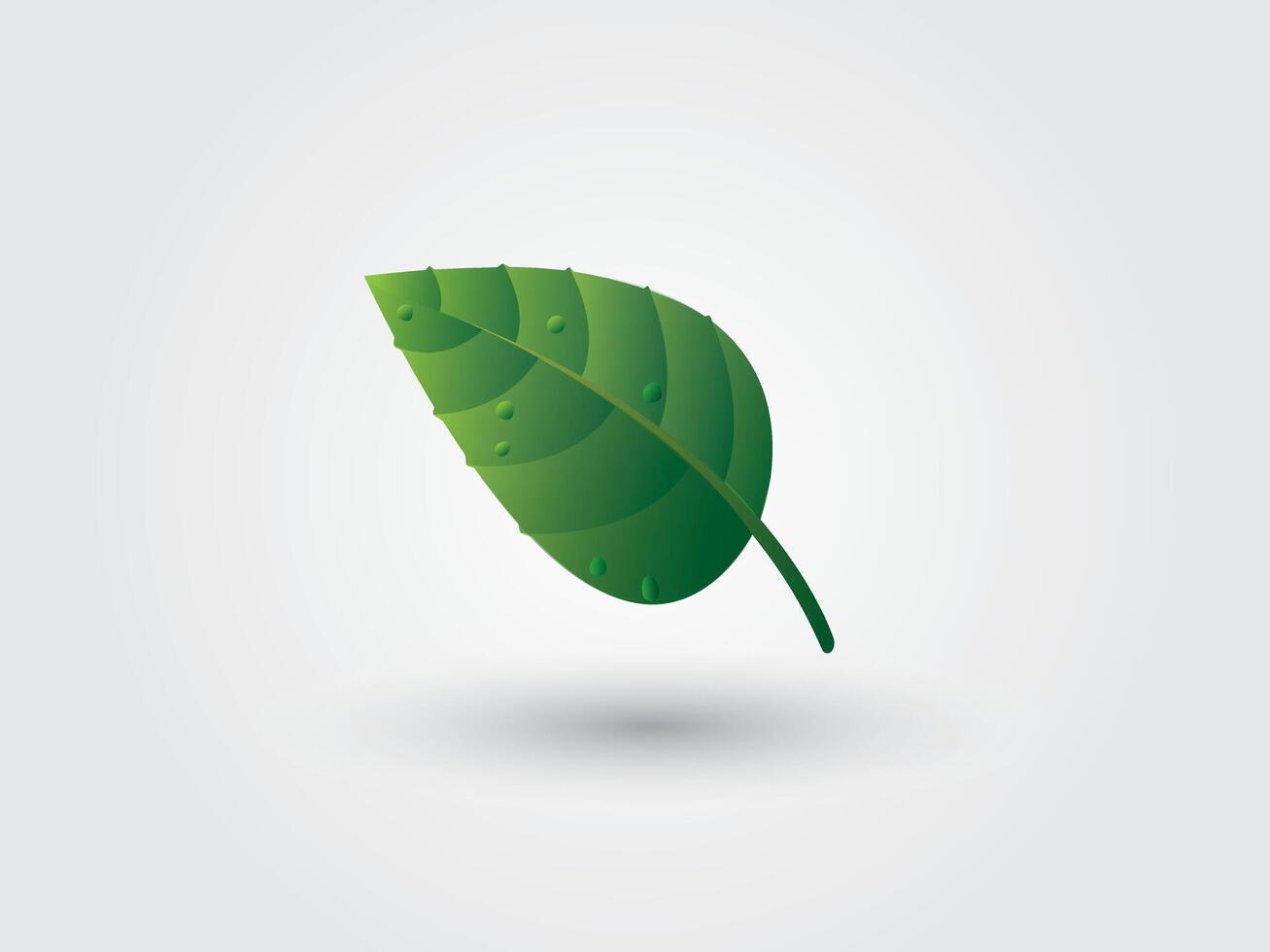 A beautiful cool green leaf with shadow on white background illustration vector