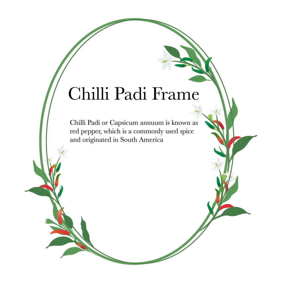 Chilli Padi floral oval frame with leaves isolated on white background vector