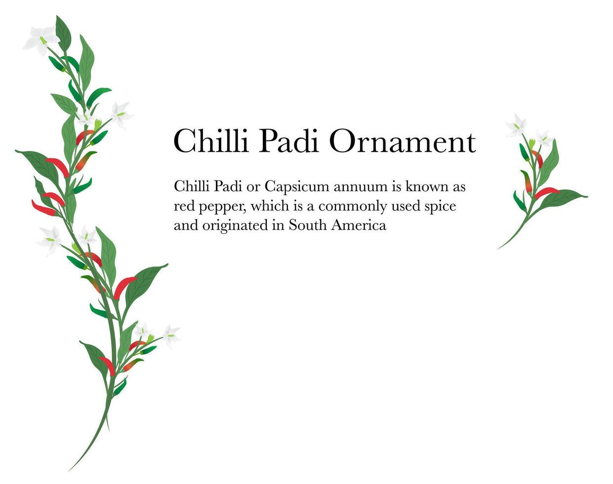 chilli brunch ornament frame on background vector