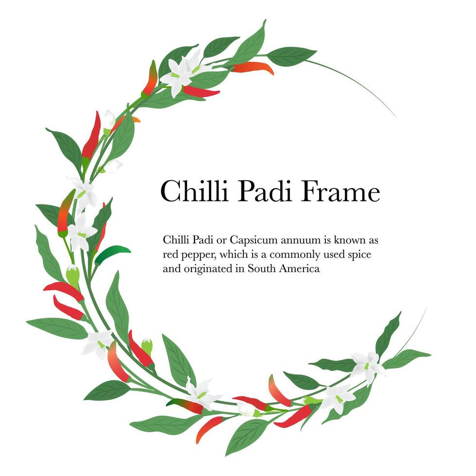 chilli floral oval frame with leaves isolated on white background vector