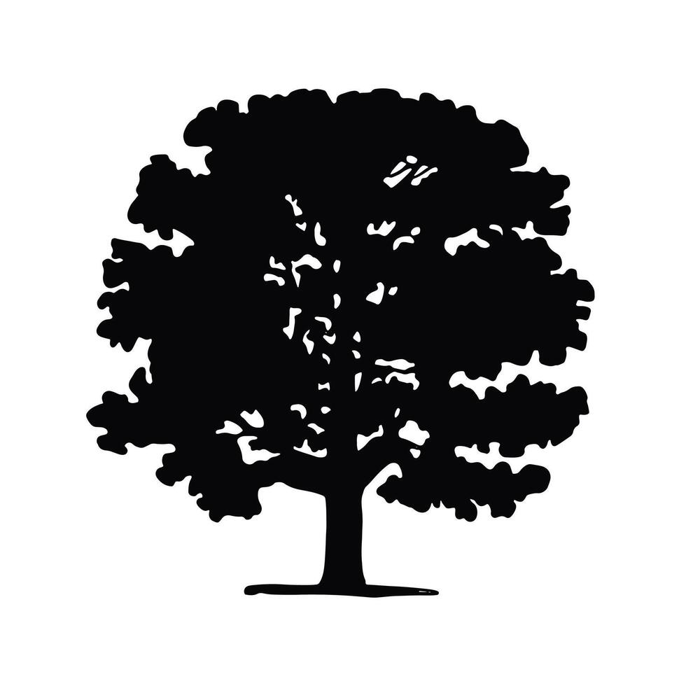 Silhouette of a large deciduous tree, Oak. black illustration vector