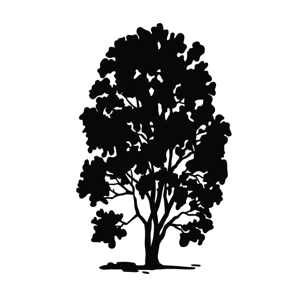 Silhouette of a deciduous Birch tree. black illustration vector