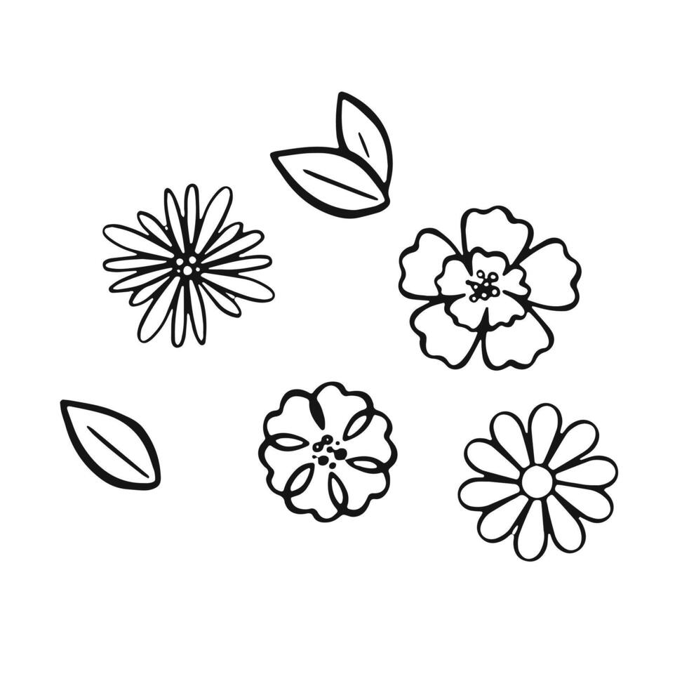flowers for bouquet outline set, illustration vector