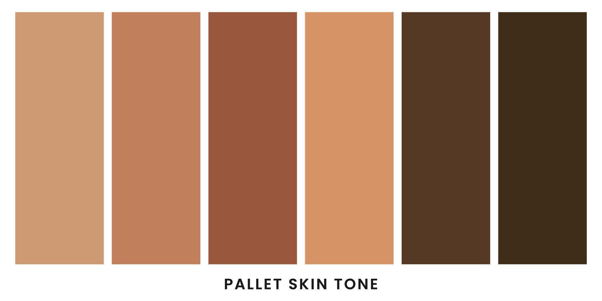 Skin Tones Color Palette vector