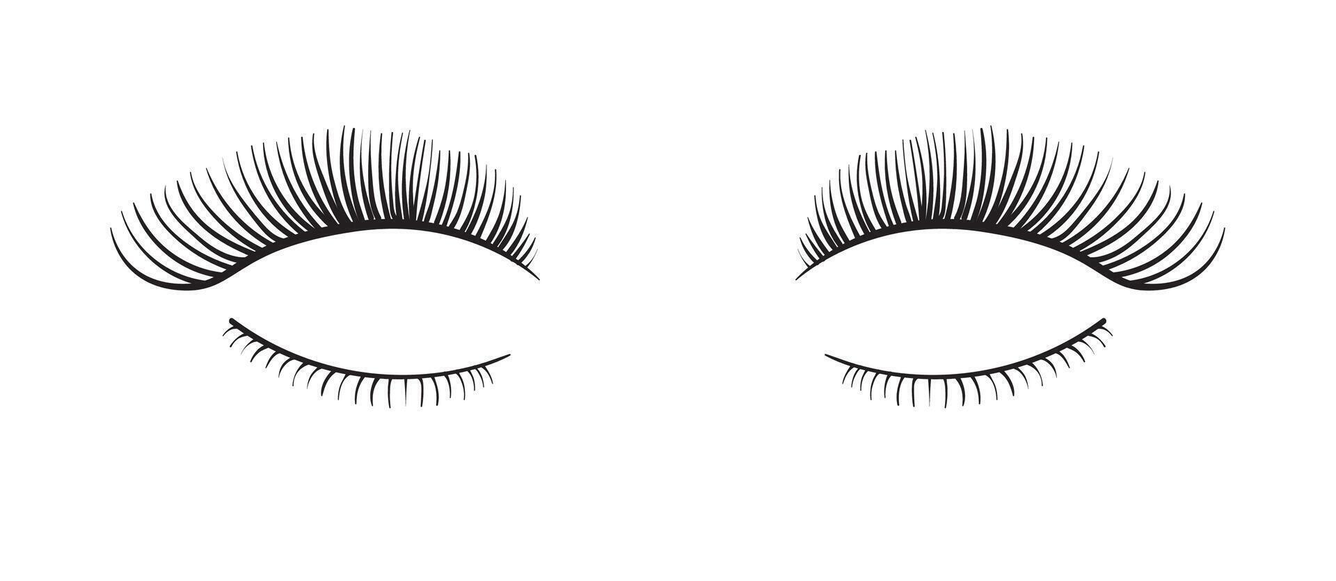 Long false black eyelashes illustration. Eyelash extension fake lashes vector