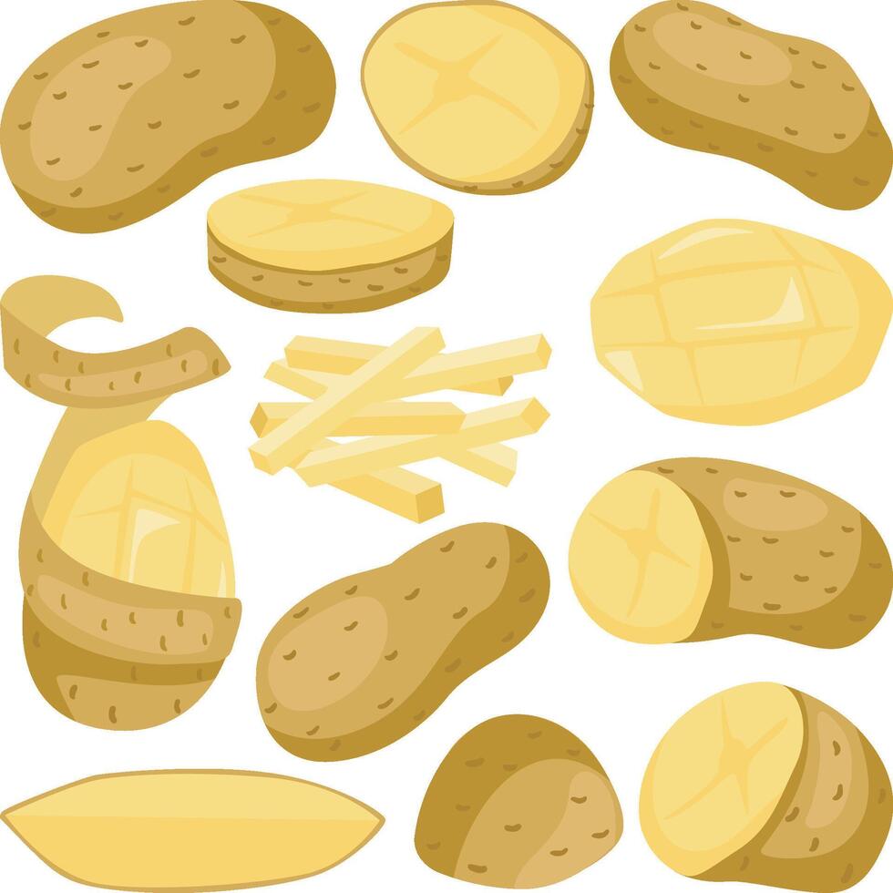Set digital collage of fresh potatoes vector